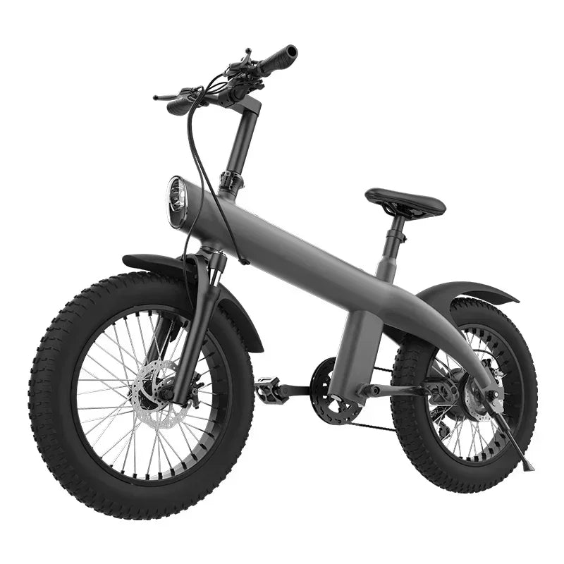 Q3 PLUS 48v 750w 13ah 20 Inch Fat Electric Bike