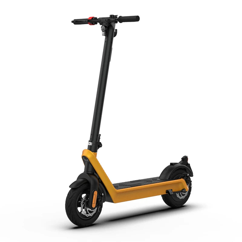 Electric Citycoco Scooter