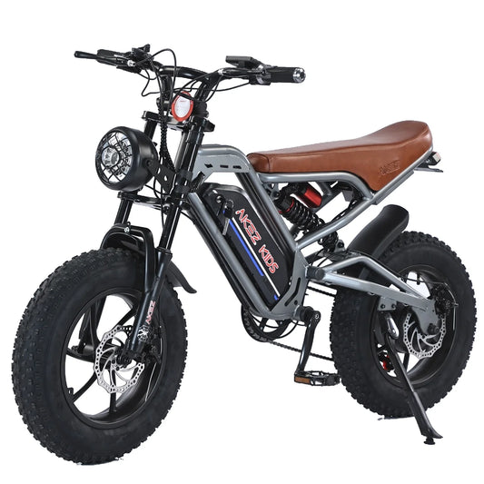 Akez 16*4" Fat Tire Electric Bike
