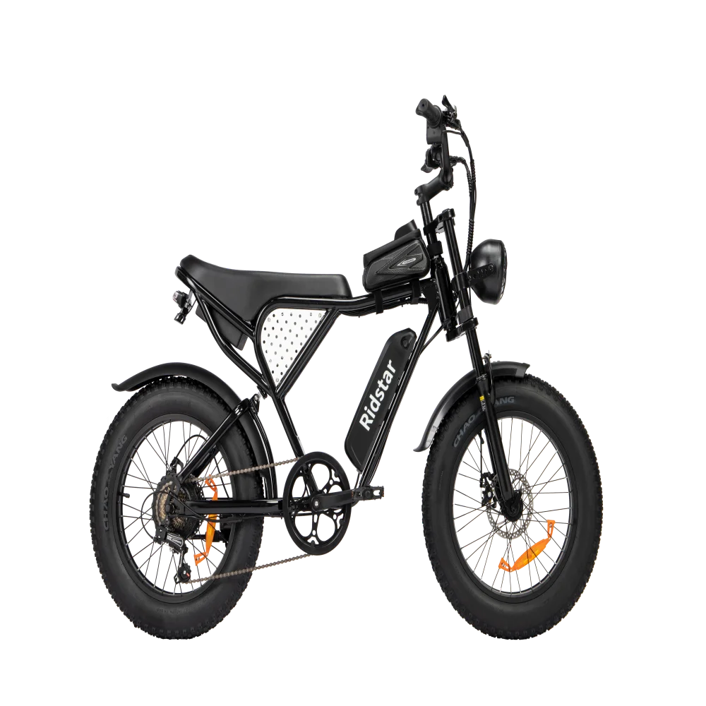 Ridstar Q20 Pro Fast Electric Bike