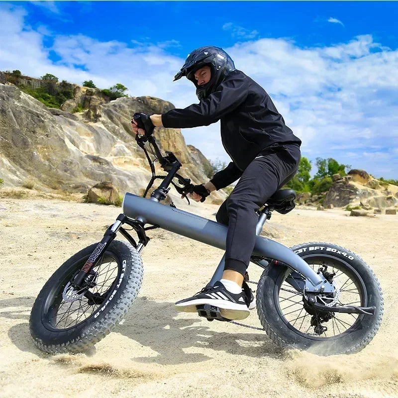 Q3 PLUS 48v 750w 13ah 20 Inch Fat Electric Bike