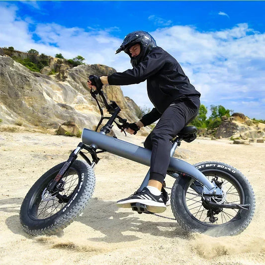 Q3 PLUS 48v 750w 13ah 20 Inch Fat Electric Bike