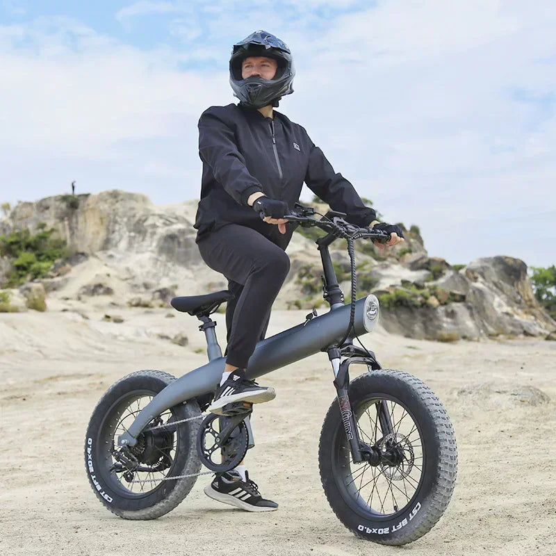 Q3 PLUS 48v 750w 13ah 20 Inch Fat Electric Bike