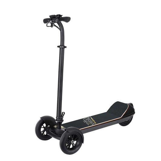 All Terrain Electric Scooter