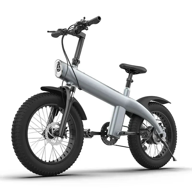 Q3 PLUS 48v 750w 13ah 20 Inch Fat Electric Bike