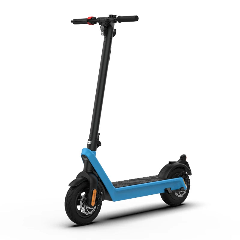 Electric Citycoco Scooter