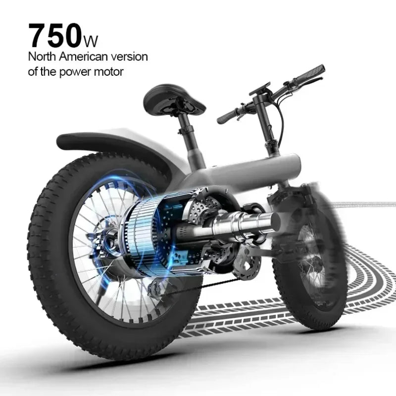 Q3 PLUS 48v 750w 13ah 20 Inch Fat Electric Bike
