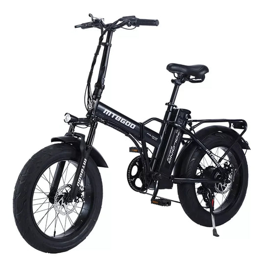 Long Range Dual Battery 20" Fat Tire Electric Bike